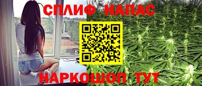 шишки Кинель