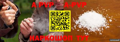 ешки Кингисепп
