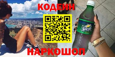 ешки Кингисепп