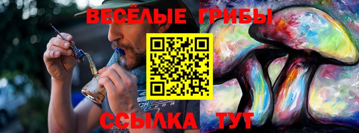 Псилоцибиновые грибы мухоморы Воронеж