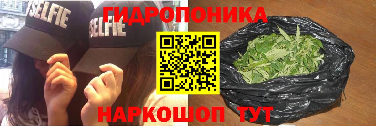 Шишки марихуана конопля Воронеж